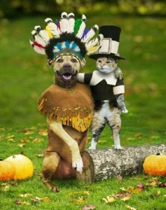 thanksgiving-dogindiancatpilgrim